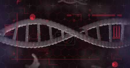 Téléchargez les photos : Image de traitement de données sur brin d'ADN. Concept d'interface numérique et de science globale image générée numériquement. - en image libre de droit