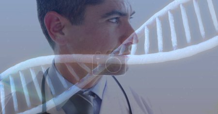 Image of DNA strand spinning over portrait of male doctor wearing lab coat smiling to camera. Global medicine concept digitally generated image.