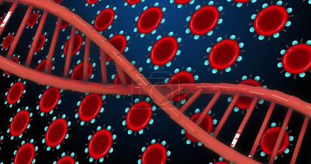 Foto de Imagen de ADN sobre células rojas sobre fondo azul. Biología humana, anatomía y concepto corporal imagen generada digitalmente. - Imagen libre de derechos