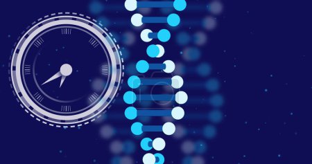 Téléchargez les photos : Image de l'horloge se déplaçant sur des brins d'ADN sur fond bleu. Concept d'interface numérique et de science globale image générée numériquement. - en image libre de droit