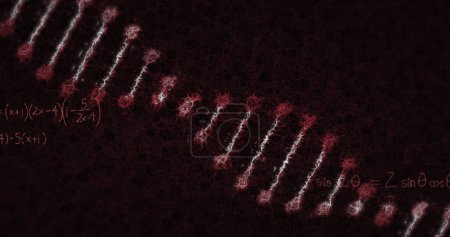 Image de formules mathématiques et souche d'ADN flottant sur fond rouge. Coronavirus Covid-19 pandémie concept composite numérique.