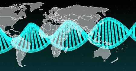 Image of dna strand spinning over world map. global science, research and data processing concept digitally generated image.