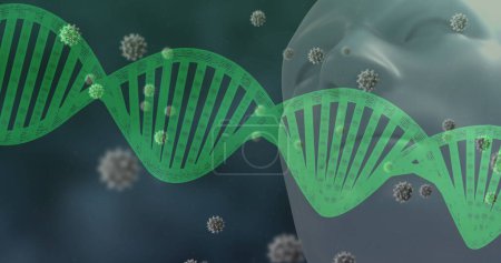 Foto de Imagen del ADN giratorio y del coronavirus Covid 19 propagándose sobre el modelo de cabeza humana. Imagen generada digitalmente por concepto pandémico de coronavirus global. - Imagen libre de derechos