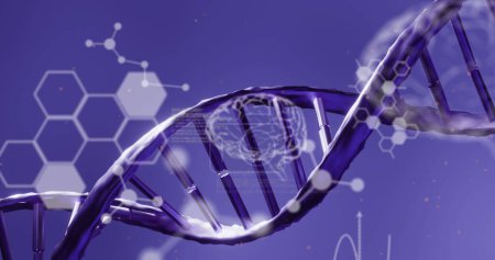 Téléchargez les photos : Traitement des données médicales sur la structure de l'ADN filant sur fond bleu. concept de recherche médicale et de technologie scientifique - en image libre de droit