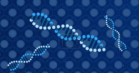 Foto de Imagen de ADN sobre celdas azules sobre fondo azul. Biología humana, anatomía y concepto corporal imagen generada digitalmente. - Imagen libre de derechos