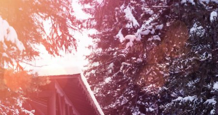 Téléchargez les photos : Point de lumière sur les arbres enneigés et maison sur le paysage hivernal. Noël fête et concept de célébration - en image libre de droit