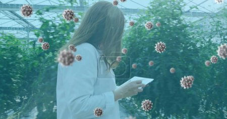 Foto de Imagen de células del coronavirus que fluyen sobre una trabajadora de laboratorio que examina plantas en el invernadero. Covid 19 pandemia salud ciencia medicina concepto digital compuesto. - Imagen libre de derechos