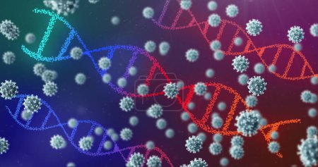 Foto de Imagen del coronavirus 3D Covid 19 propagándose con hebras de ADN rotativas. Imagen generada digitalmente por concepto pandémico de coronavirus global. - Imagen libre de derechos