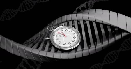 Bild einer Zeitschaltuhr, die sich über dna-Stränge auf schwarzem Hintergrund bewegt. Globale Wissenschaft und digitales Schnittstellenkonzept digital generiertes Bild.