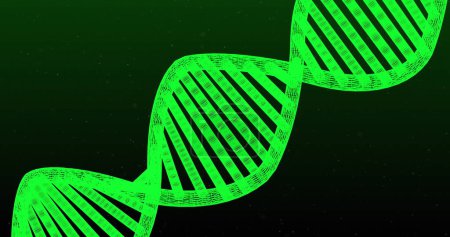 Téléchargez les photos : Une structure à double hélice d'ADN vert se distingue sur un fond sombre. Cette illustration représente les concepts de recherche génétique et de biotechnologie. - en image libre de droit