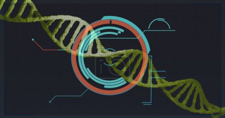 Foto de Imagen del círculo de procesamiento sobre el ADN sobre fondo negro. Ciencia, química, biología y tecnología Concepto de imagen generada digitalmente. - Imagen libre de derechos