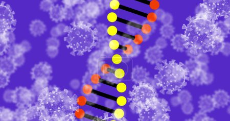 Foto de Imagen de hebra de ADN 3d girando con células de coronavirus Covid 19 flotando sobre fondo púrpura. Covid 19 pandemia concepto de ciencia sanitaria imagen generada digitalmente. - Imagen libre de derechos