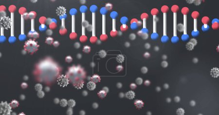 Image of 3d DNA strand spinning with Covid 19 coronavirus cells floating on black background. Covid 19 pandemic health care science concept digitally generated image.