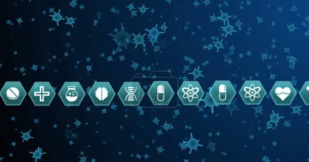 Photo for Image of hexagons with scientific icons over blue cells on navy background. Human biology, anatomy and body concept digitally generated image. - Royalty Free Image