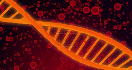 Foto de Imagen de ADN sobre glóbulos rojos sobre fondo rojo. Biología humana, anatomía y concepto corporal imagen generada digitalmente. - Imagen libre de derechos