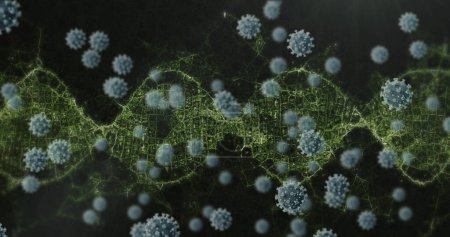 Foto de Imagen de hebra de ADN 3d girando con células de coronavirus Covid 19 flotando sobre fondo negro. Covid 19 pandemia concepto de ciencia sanitaria imagen generada digitalmente. - Imagen libre de derechos