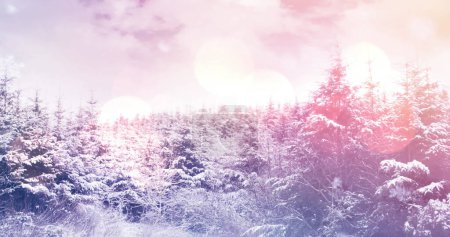 Téléchargez les photos : Point de lumière sur les arbres enneigés sur le paysage hivernal. Noël fête et concept de célébration - en image libre de droit