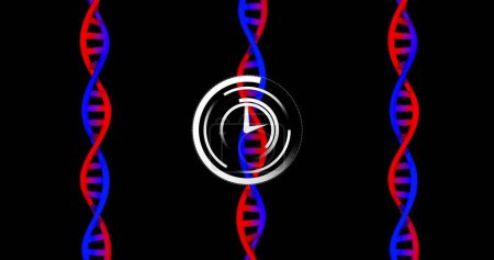 Image of clock moving over dna strands on black background. Global science and digital interface concept digitally generated image.