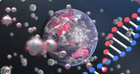 Foto de Imagen de la hebra de ADN 3d girando con Covid 19 coronavirus células iconos flotando en el modelo globo sobre fondo negro. Covid 19 pandemia concepto de ciencia sanitaria imagen generada digitalmente. - Imagen libre de derechos