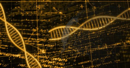 Imagen de hebras de ADN sobre el procesamiento de datos. Ciencia global, investigación, conexiones, computación y procesamiento de datos, imagen generada digitalmente.