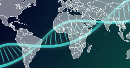 Téléchargez les photos : Image du brin d'ADN sur la carte du monde. Science globale, recherche, connexions, calcul et traitement des données, image générée numériquement. - en image libre de droit
