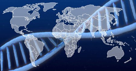 Photo for Image of dna strand over world map on blue background. Global research, science, connections, computing and data processing concept, digitally generated image. - Royalty Free Image