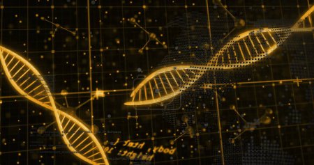 Image des brins d'ADN sur le traitement des données. Science globale, recherche, connexions, calcul et traitement des données, image générée numériquement.