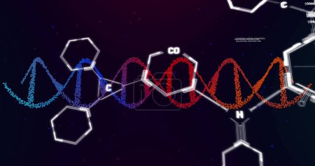 Foto de Imagen de ADN, estructuras químicas y procesamiento de datos sobre fondo de gradiente púrpura. Concepto de investigación médica y tecnología científica - Imagen libre de derechos