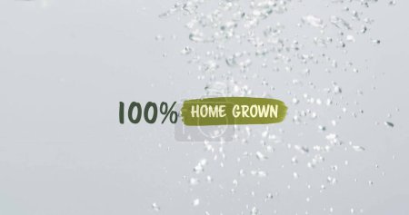 Vor klarem Hintergrund plätschern Wassertropfen. Ein Etikett, das 100% HOME GROWN zeigt, schwebt prominent und erregt Aufmerksamkeit