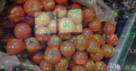 Imagen de números cambiantes y gráficos moviéndose sobre tomates frescos para la venta en el mercado. Compuesto digital, exposición múltiple, vegetal, alimentos, negocios, informe, progreso y concepto de datos.