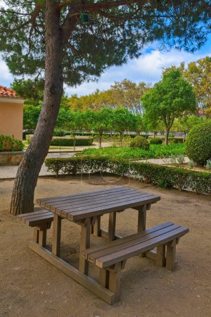 Photo for A vertical shot of a park bench with a wooden table and a tree under the sunlight - Royalty Free Image