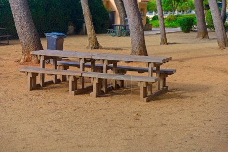 Photo for Empty wooden bench in the park. - Royalty Free Image