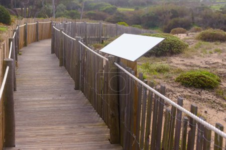Téléchargez les photos : Passerelle en bois sur la plage avec herbe verte et mer - en image libre de droit