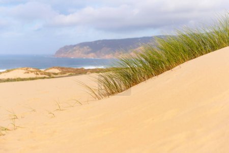 Téléchargez les photos : Dune de maspalomas gran canaria, espagne - en image libre de droit