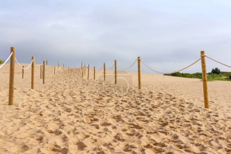 Téléchargez les photos : Poteaux en bois à la plage de sable sur les dunes de sable de la mer baltique dans le nord des Pays-Bas - en image libre de droit