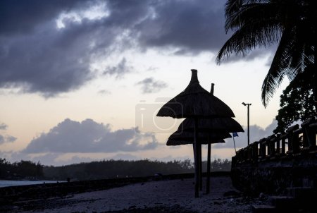Téléchargez les photos : Parasol et chaises longues sur la côte tropicale, à Maurice - en image libre de droit
