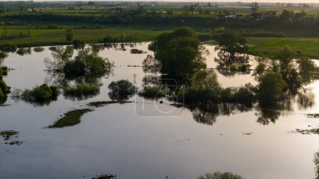 La rivière a débordé de la Banque. Nevezis, district de Kedainiai