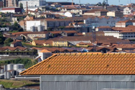 Blick von oben auf die Ziegeldächer der Altstadt von Porto, Portugal.