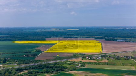 Sonniger Tag über gelben Rapsfeldern im Distrikt Kdainiai, Litauen