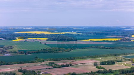 Journée ensoleillée sur les champs de colza jaune dans le district de Kdainiai, Lituanie