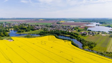Día soleado sobre campos de colza amarilla en el distrito de Kdainiai, Lituania