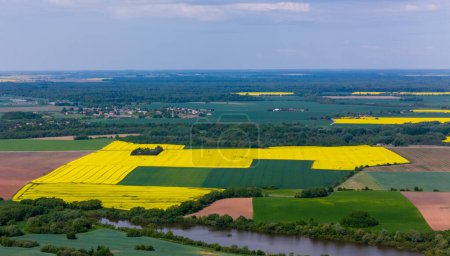 Sonniger Tag über gelben Rapsfeldern im Distrikt Kdainiai, Litauen