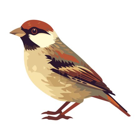 Cute sparrow perching, close up view icon isolated
