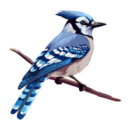Ilustración de Pequeño arrendajo azul posado en el icono de la rama aislado - Imagen libre de derechos