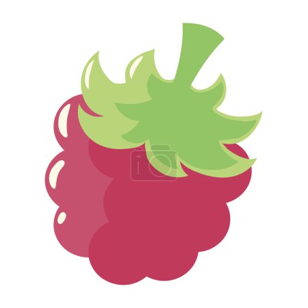 Téléchargez les illustrations : Framboise fruit isolé icône vecteur - en licence libre de droit