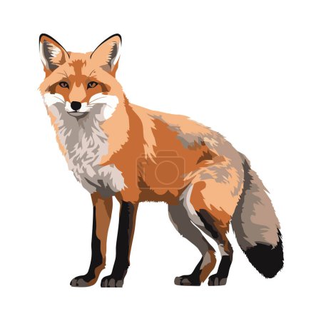 Illustration for Fox animal standing icon isolated illustration - Royalty Free Image