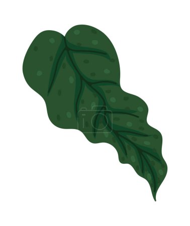 Illustration for Exotic leaf plant natural illustration isolated - Royalty Free Image