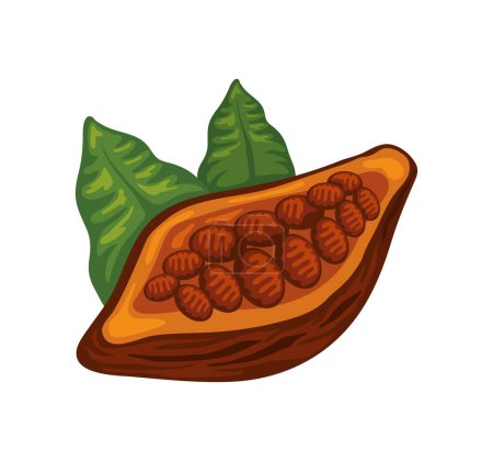 cocoa beans and leaves nature