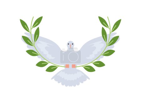 peace dove with olive branch in the beak flying isoalted