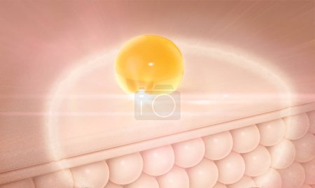 Foto de Cosmetic serum Oil drop on skin layers, Collagen and vitamin through cell, cosmetics solution concept. 3D rendering. - Imagen libre de derechos